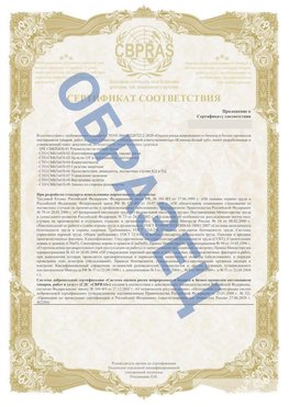 Образец Приложение к СТО 01.064.00220722.2-2020 Таштагол Сертификат СТО 01.064.00220722.2-2020 
